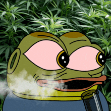 a cartoon of a frog smoking a pipe in front of some marijuana plants