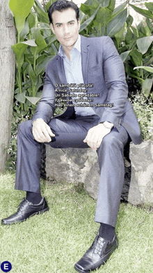 a man in a suit sits on a rock in the grass with a sticker that says e on it