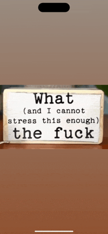 a sign that says " what and i cannot stress this enough the fuck "