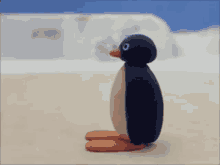 Pingu Noot GIF - Pingu Noot Head GIFs