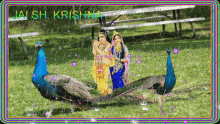 Jai Sh Krishna Peacock GIF - Jai Sh Krishna Peacock Flowers GIFs