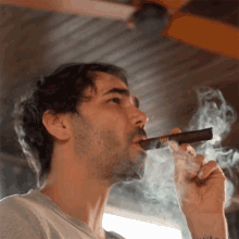 Smoking Cigar Microwave GIF - Smoking Cigar Microwave Santeria Song Cover GIFs