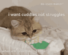 Cuddles Not Struggles What Am I Doing GIF - Cuddles Not Struggles What Am I Doing Do I Matter GIFs