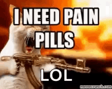pain cat angry shoot pain pills
