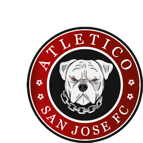 Soccer Atleticosanjosefc Sticker - Soccer Atleticosanjosefc Futbol Stickers