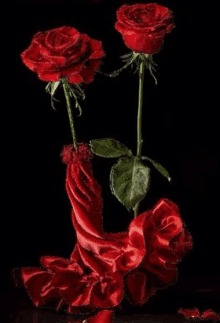 Rose Flowers GIF - Rose Flowers Water GIFs