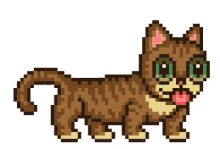 Lil Bub GIF - Lil Bub Cute Cat GIFs