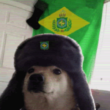 Brasil Brazil GIF - Brasil Brazil Imperio GIFs