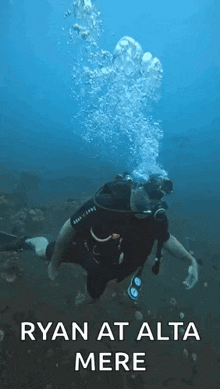 Scuba Diving GIF - Scuba Diving GIFs