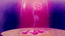 Beauty And The Beast Rose GIF