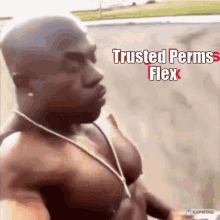 Trusted Flex GIF - Trusted Flex Perms GIFs