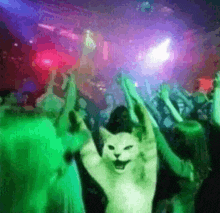 a cat is dancing in front of a crowd with its paws in the air