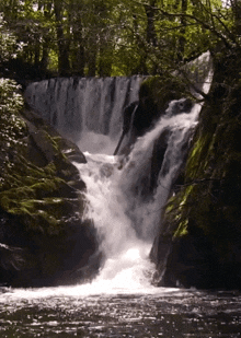 Waterfall Nature GIF - Waterfall Nature Scenic GIFs