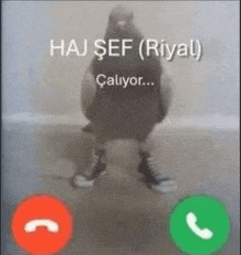 a pigeon is talking on a cell phone while wearing shoes .