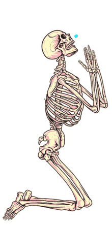 kidsquidy skeleton