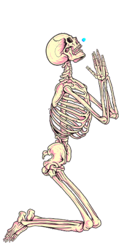 Skull Skeleton Sticker - Skull Skeleton Blue Tick Stickers