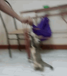 a blurry picture of a person holding a cat in their hand