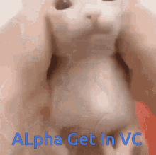 Alpha Vc Get In Vc GIF - Alpha Vc Get In Vc Bingus GIFs