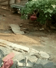 a red pot sits on a dirt ground next to a bench