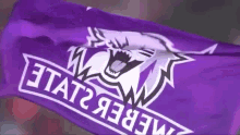 Weber State Wildcats GIF