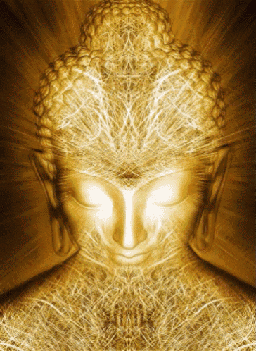 buddha-meditate.gif