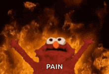 elmo from sesame street is standing in front of a fire with the word pain written on it .