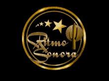 a picture of a microphone with the words ritmo sonora on it