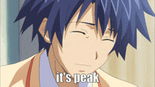 a crying anime character with the words it 's peak written below him
