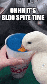 a person holding a cup with a duck in it that says ohh it 's bloo spite time
