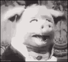 Pig Tongue Out GIF - Pig Tongue Out Weird GIFs