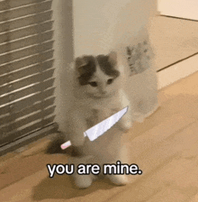 a cat holding a knife with the words " you are mine " written below it