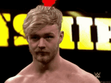 Tyler Bate Fit GIF - Tyler Bate Fit GIFs