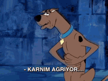 Karın Ağrısı GIF - Scooby Doo Karin Agrisi GIFs