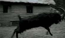 The Witch Ram GIF