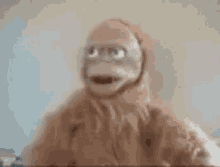 Wtf Orangutan GIF - Wtf Orangutan Mad GIFs