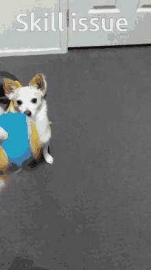 Skill Issue Dog GIF - Skill Issue Dog Lala GIFs