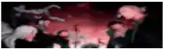 a blurry picture of a group of people standing in a dark room with a red background .