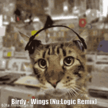 Birdy Wings GIF - Birdy Wings Remix GIFs