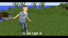 a boy in a blue shirt is standing in a grassy field in a video game