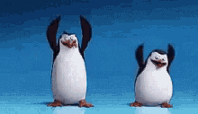 baile feliz inicio de mes pinguinos madagascar