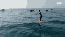 Surfing People Are Awesome GIF - Surfing People Are Awesome Surfer GIFs