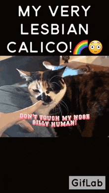 a picture of a cat with a caption that says " my very lesbian calico do n't touch my nose silly human "