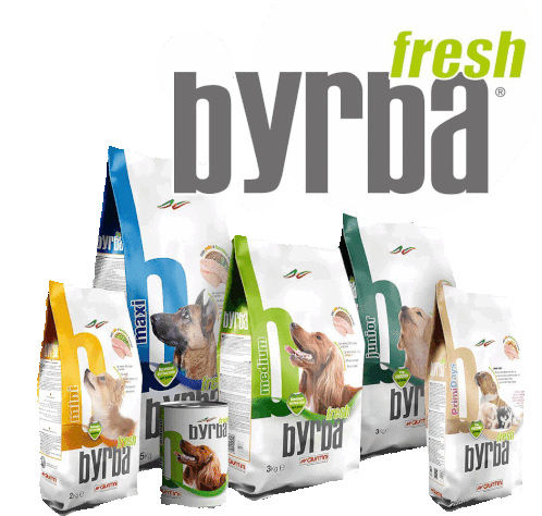 Byrba Fresh Sticker - Byrba Fresh Stickers