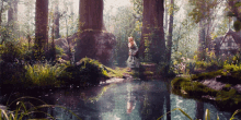 a swamp in the middle of a forest with trees and shrubs