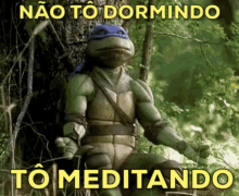 Hora De Meditar / Meditação / Zen / Yoga / Namastê / Tartarugas Ninja GIF - Teenage Mutant Ninja Turtles Namaste Zen GIFs