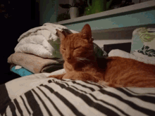 a cat is laying on a bed with a striped blanket