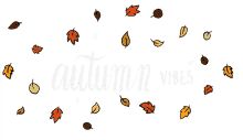 autumn rafs