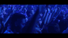 a crowd of people at a concert with their hands up