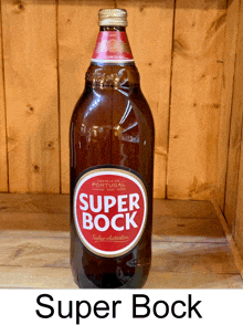 Super Bock GIF