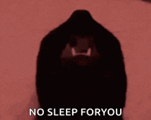 a close up of a black cat 's face with the words `` no sleep for you '' written on it .